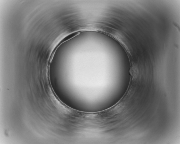 X0000099551484200805301511