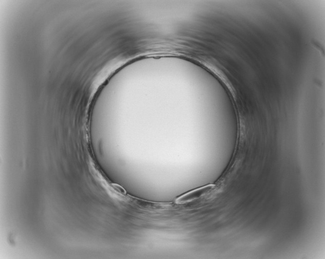 X0000099551485200805301511