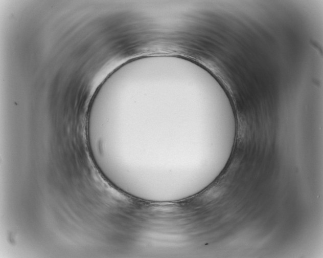 X0000099551486200805301511