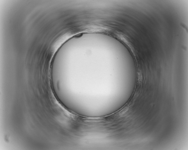 X0000099551487200805301511