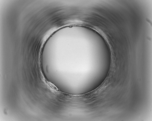 X0000099551488200805301511