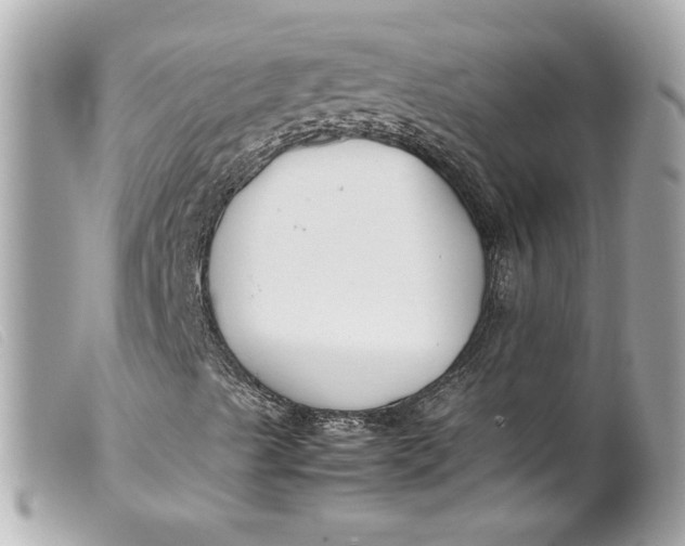 X0000099551489200805301510