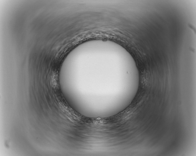 X0000099551490200805301510