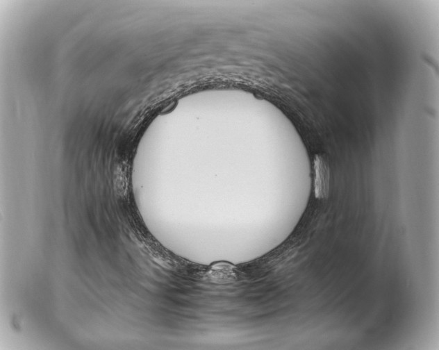 X0000099551491200805301510