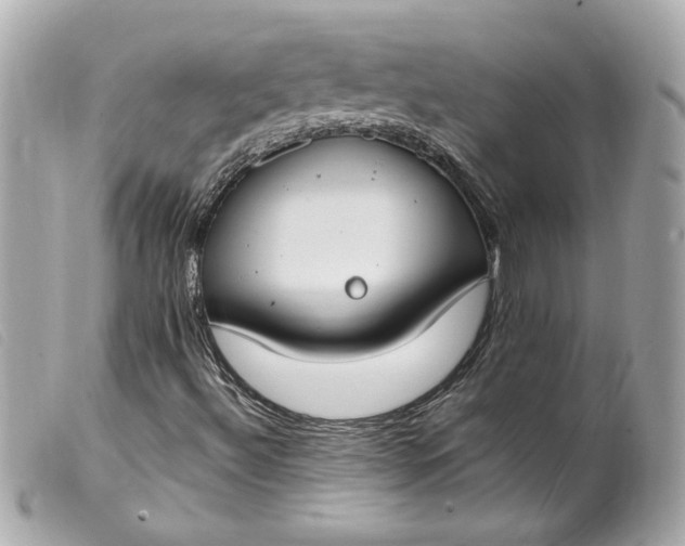 X0000099551492200805301510