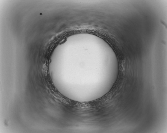 X0000099551493200805301510