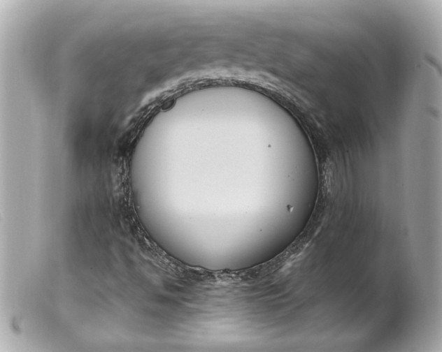 X0000099551494200805301510