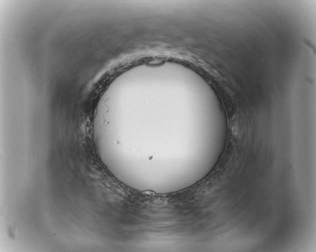 X0000099551495200805301510