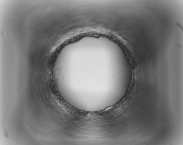 X0000099551496200805301510