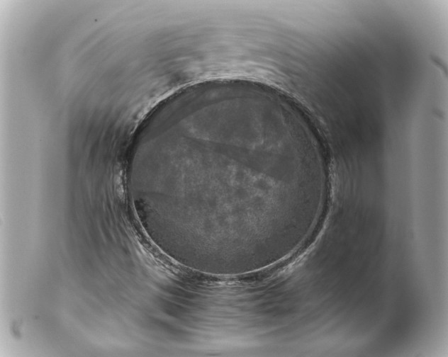 X0000099551497200805301510