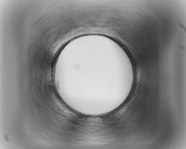 X0000099551498200805301510