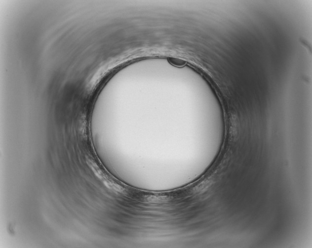 X0000099551499200805301510