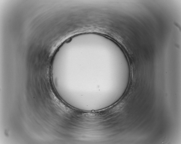 X0000099551500200805301510