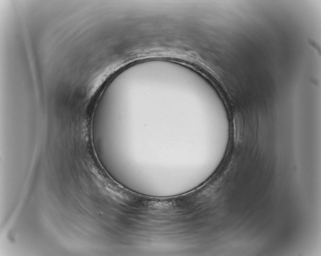 X0000099551501200805301510