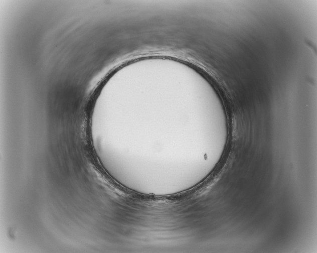 X0000099551502200805301510