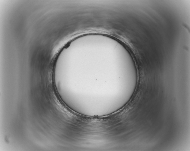 X0000099551504200805301510