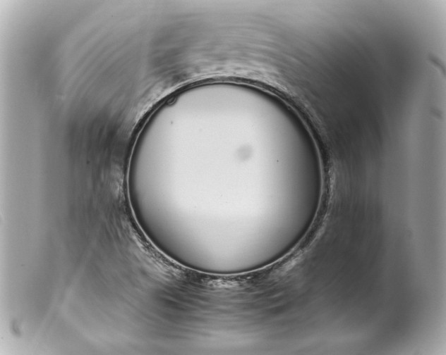 X0000099551505200805301510