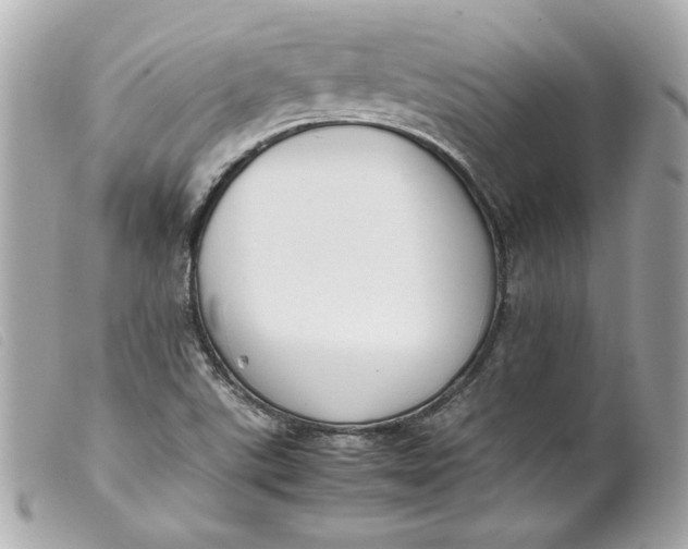 X0000099551507200805301510