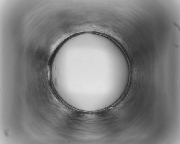 X0000099551509200805301510