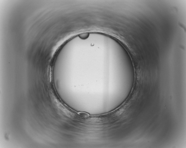 X0000099551510200805301510