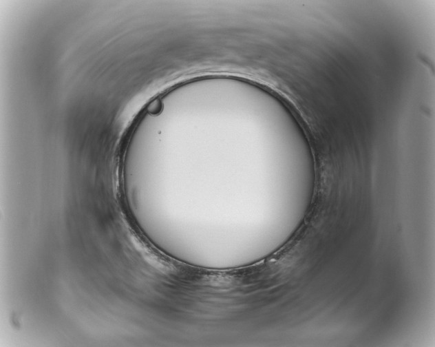 X0000099551511200805301510