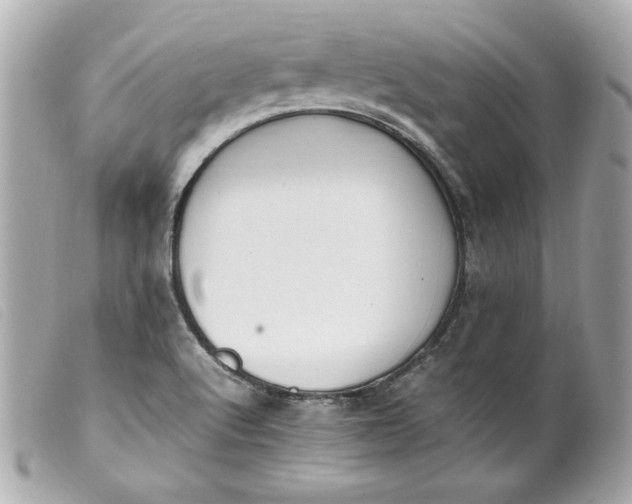 X0000099551512200805301510