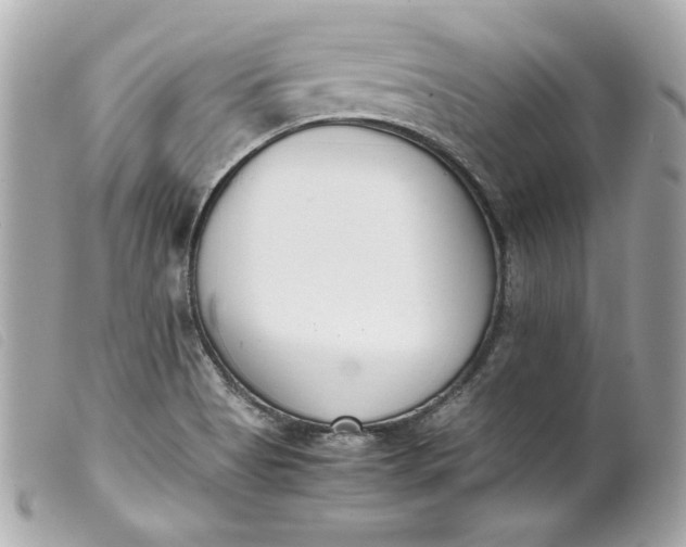 X0000099551513200805301510