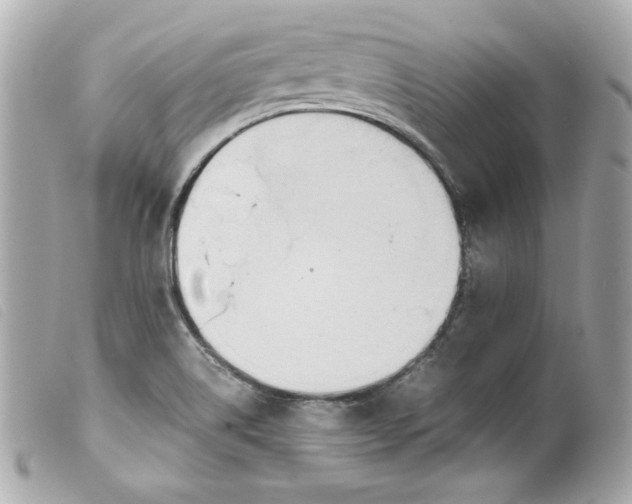 X0000099551514200805301510