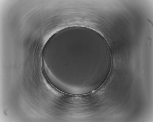 X0000099551515200805301510