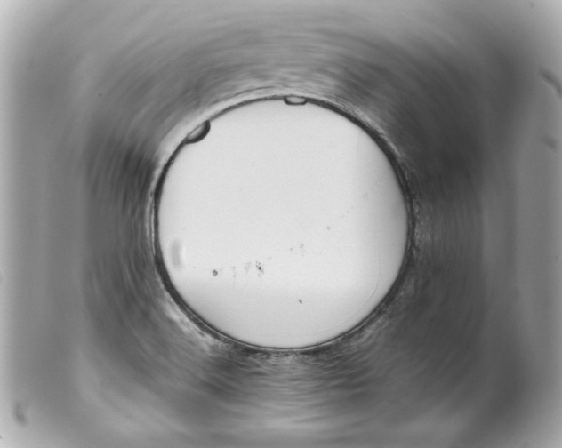 X0000099551516200805301510