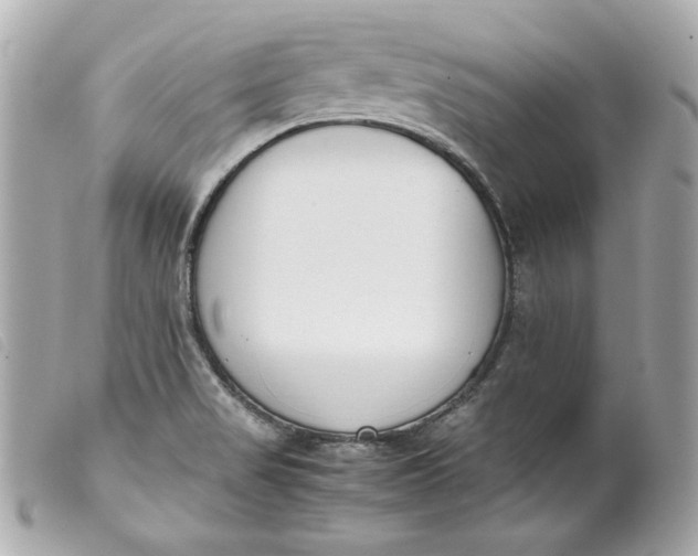 X0000099551517200805301510