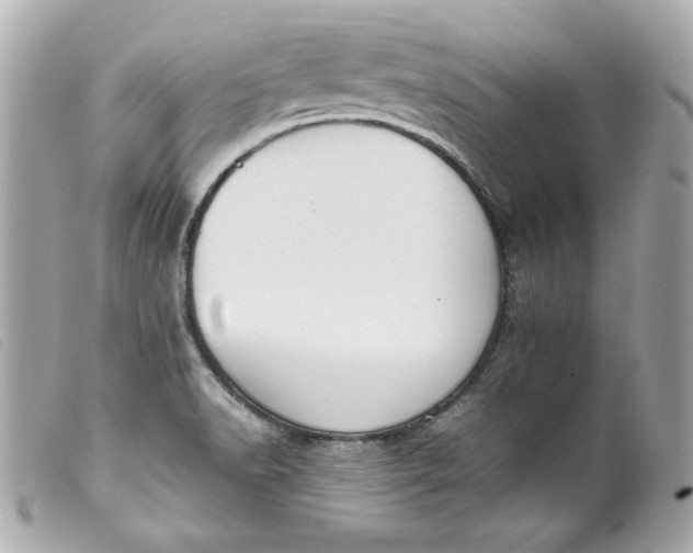 X0000099551518200805301510