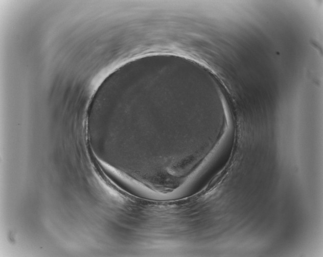 X0000099551519200805301510