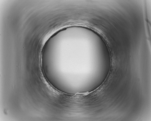 X0000099551520200805301510