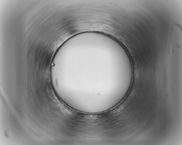 X0000099551521200805301510