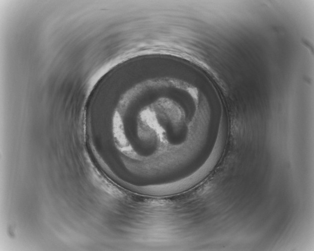 X0000099551522200805301510