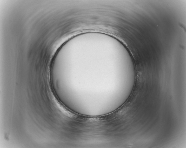 X0000099551523200805301510