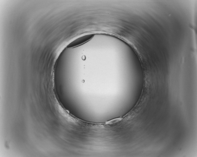 X0000099551524200805301510