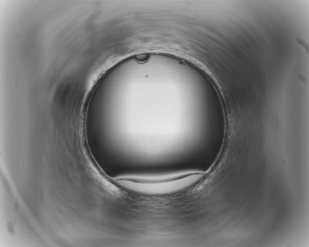 X0000099551525200805301510