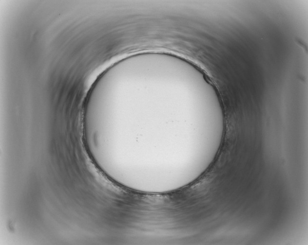 X0000099551526200805301510