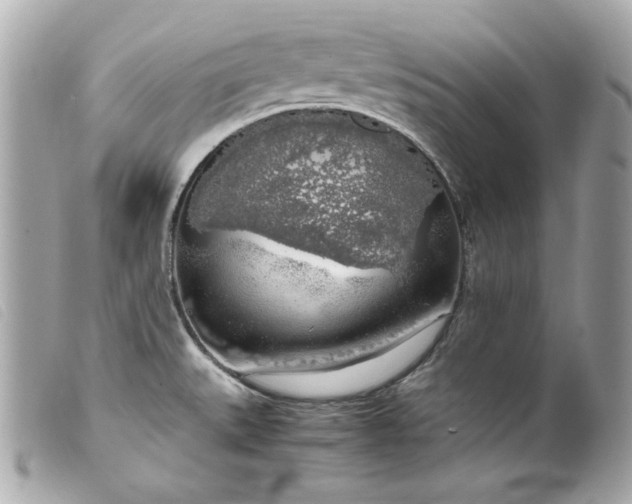 X0000099551527200805301510