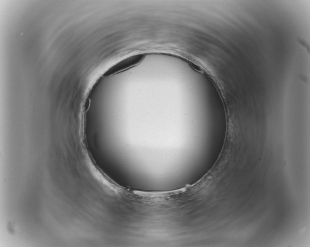 X0000099551528200805301510