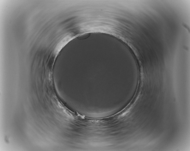 X0000099551529200805301510