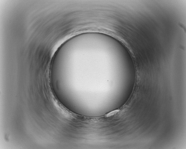 X0000099551530200805301510