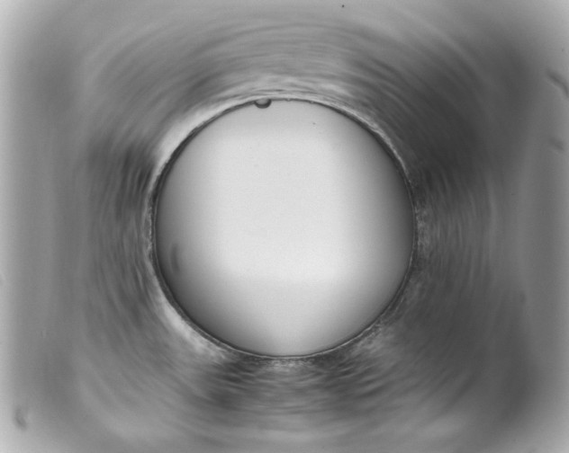 X0000099551531200805301510