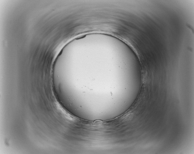 X0000099551532200805301510