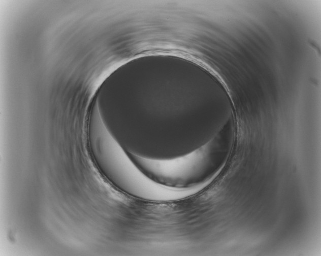 X0000099551533200805301510