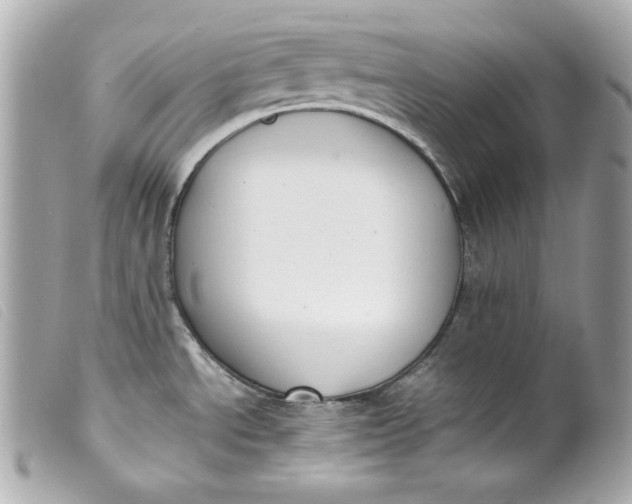 X0000099551534200805301510