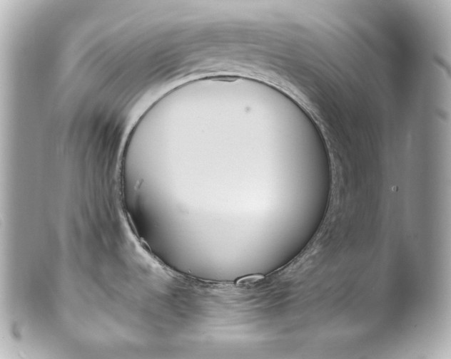 X0000099551536200805301510