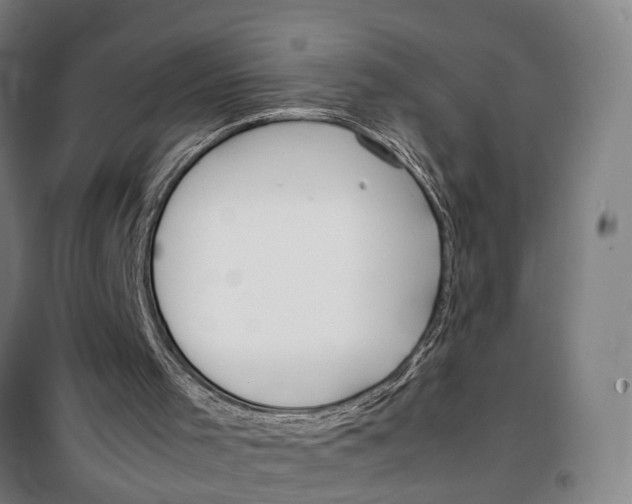 X0000099550001200806061527